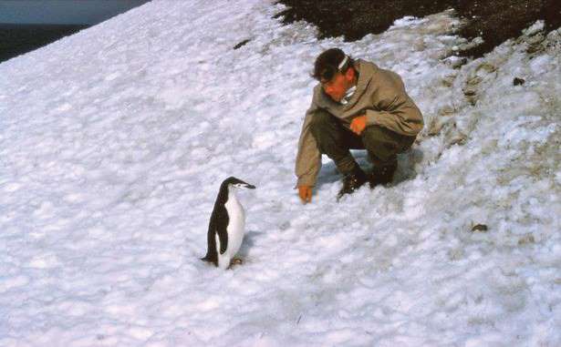 Ian McMorrin in Antarctica 