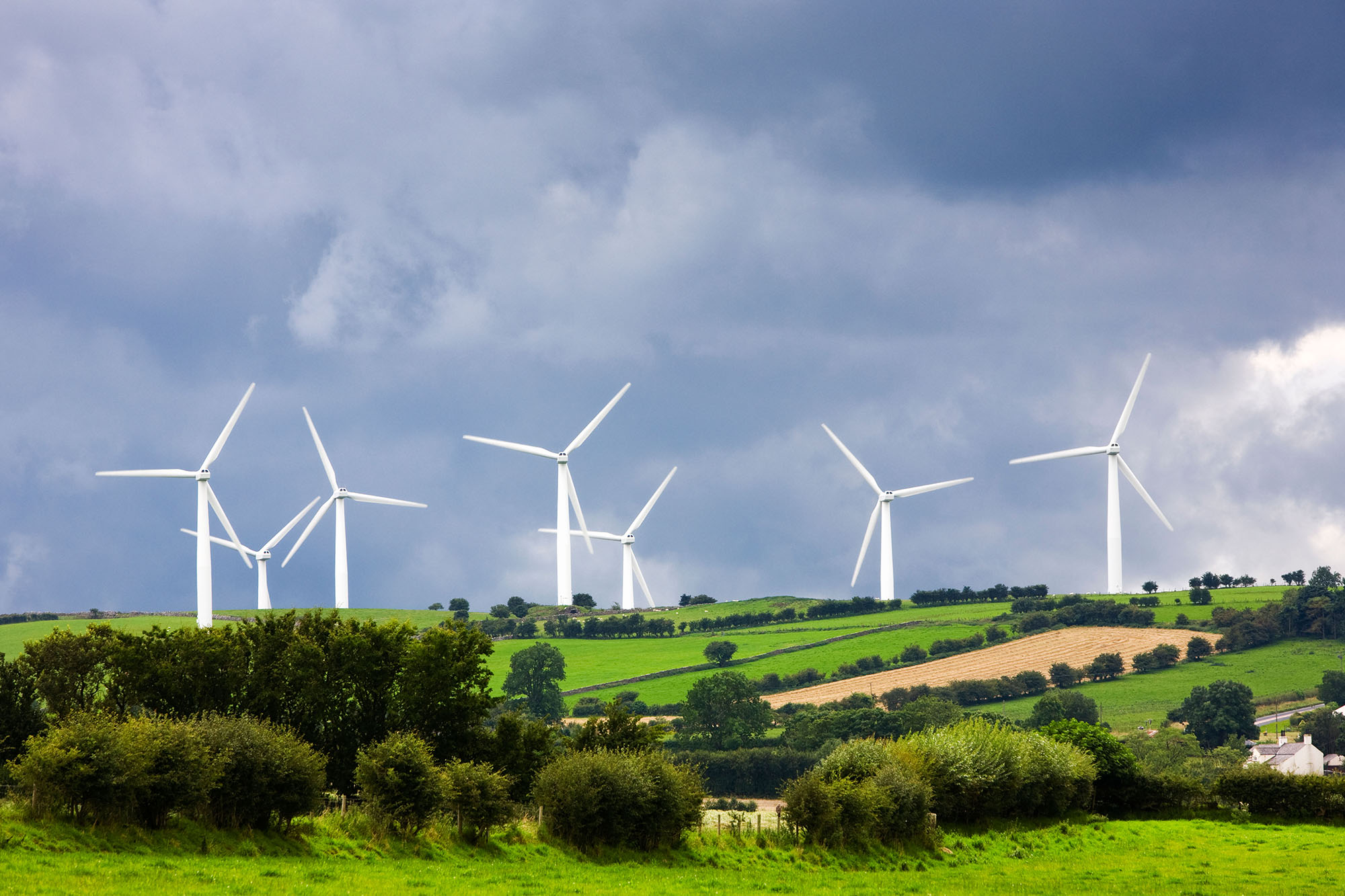 wind farm