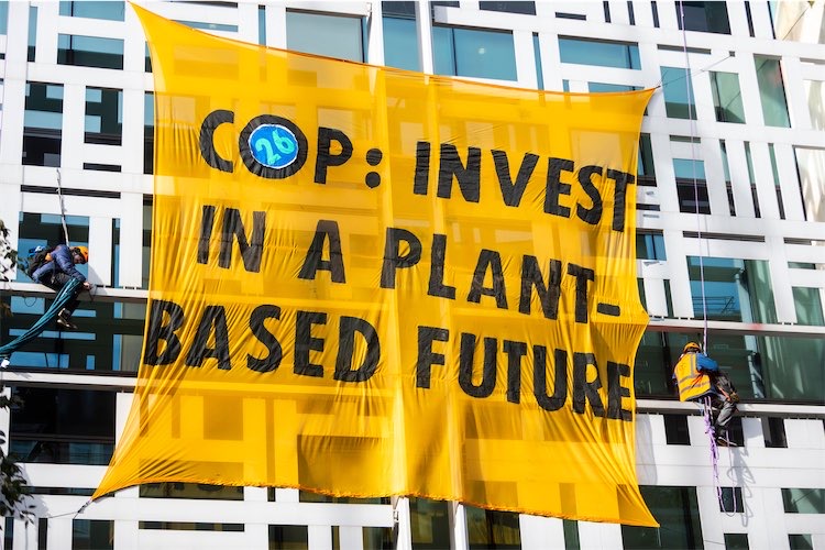 Everything You Need To Know About The COP26 Climate Summit