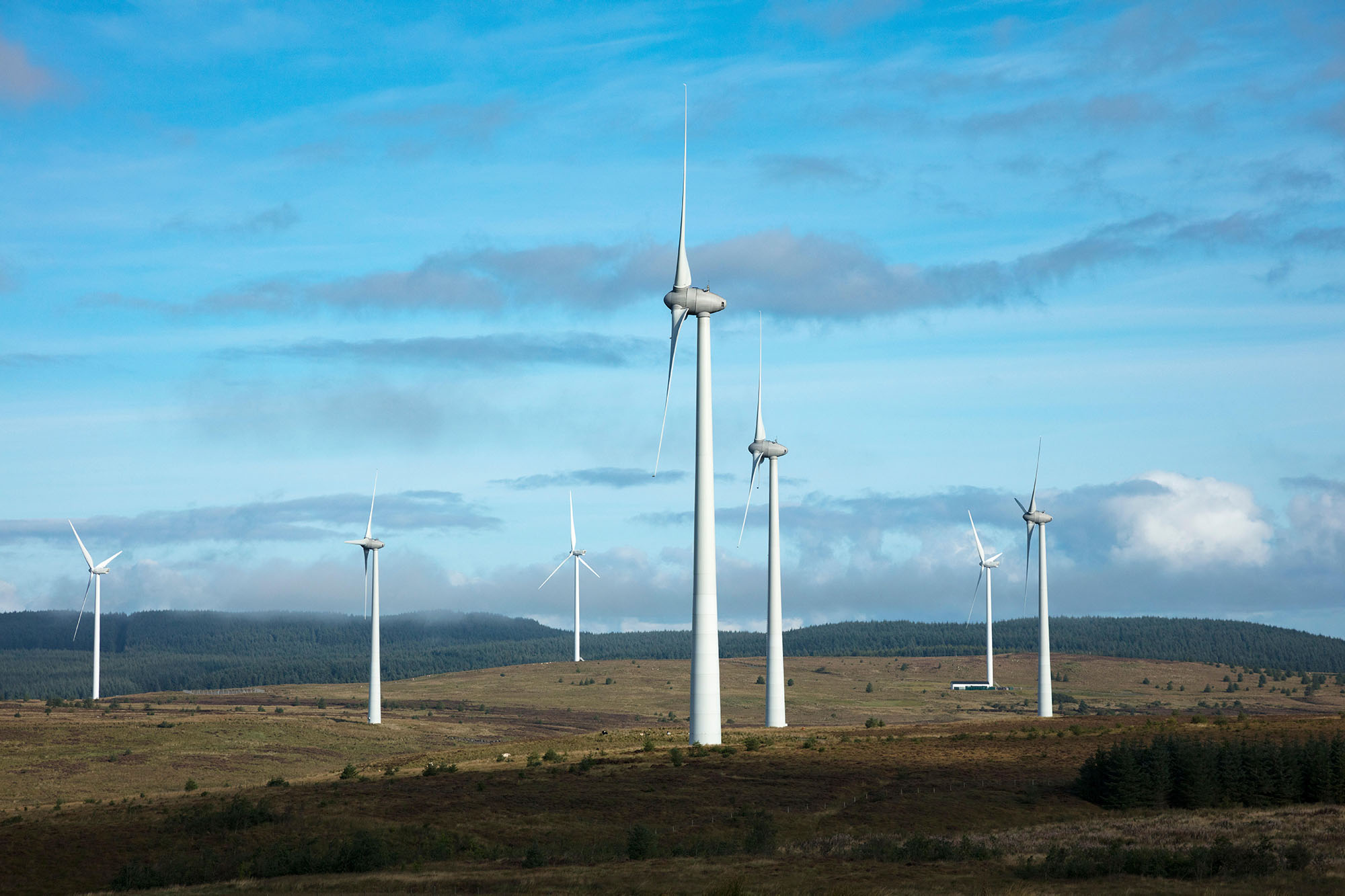 wind farm in northern ireland