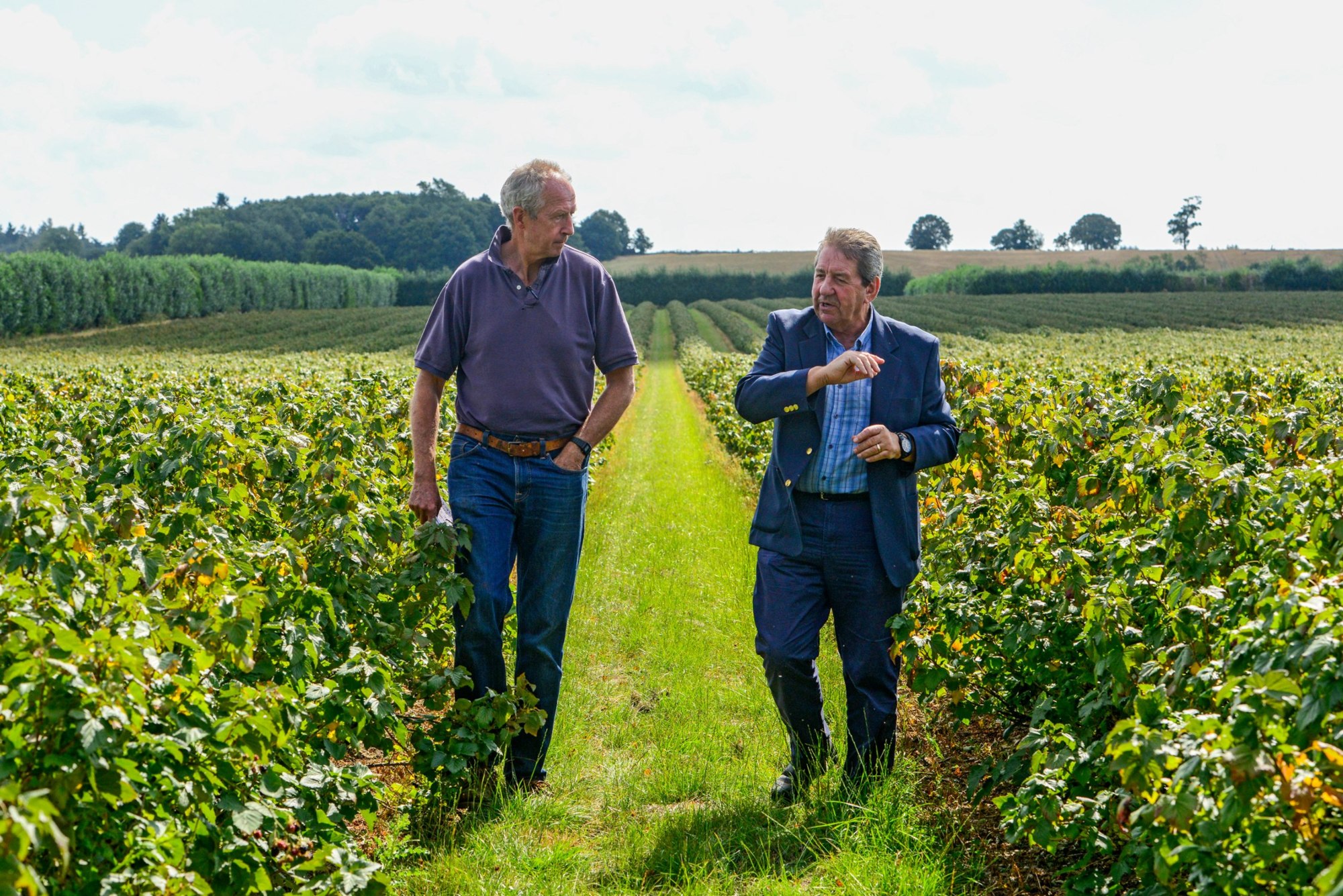 Gordon Henderson MP pictured during a visit to a blackcurrant grower in his Sittingbourne and Sheppey constituency