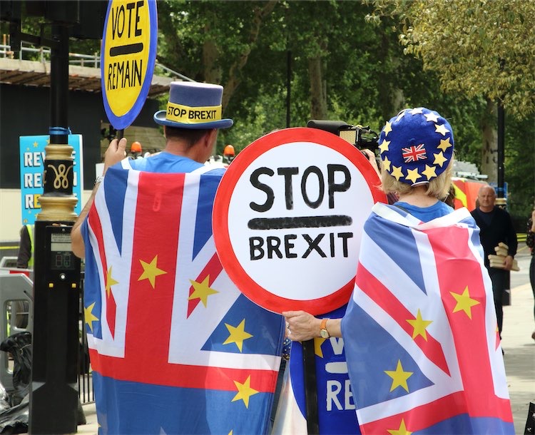 brexit protesters