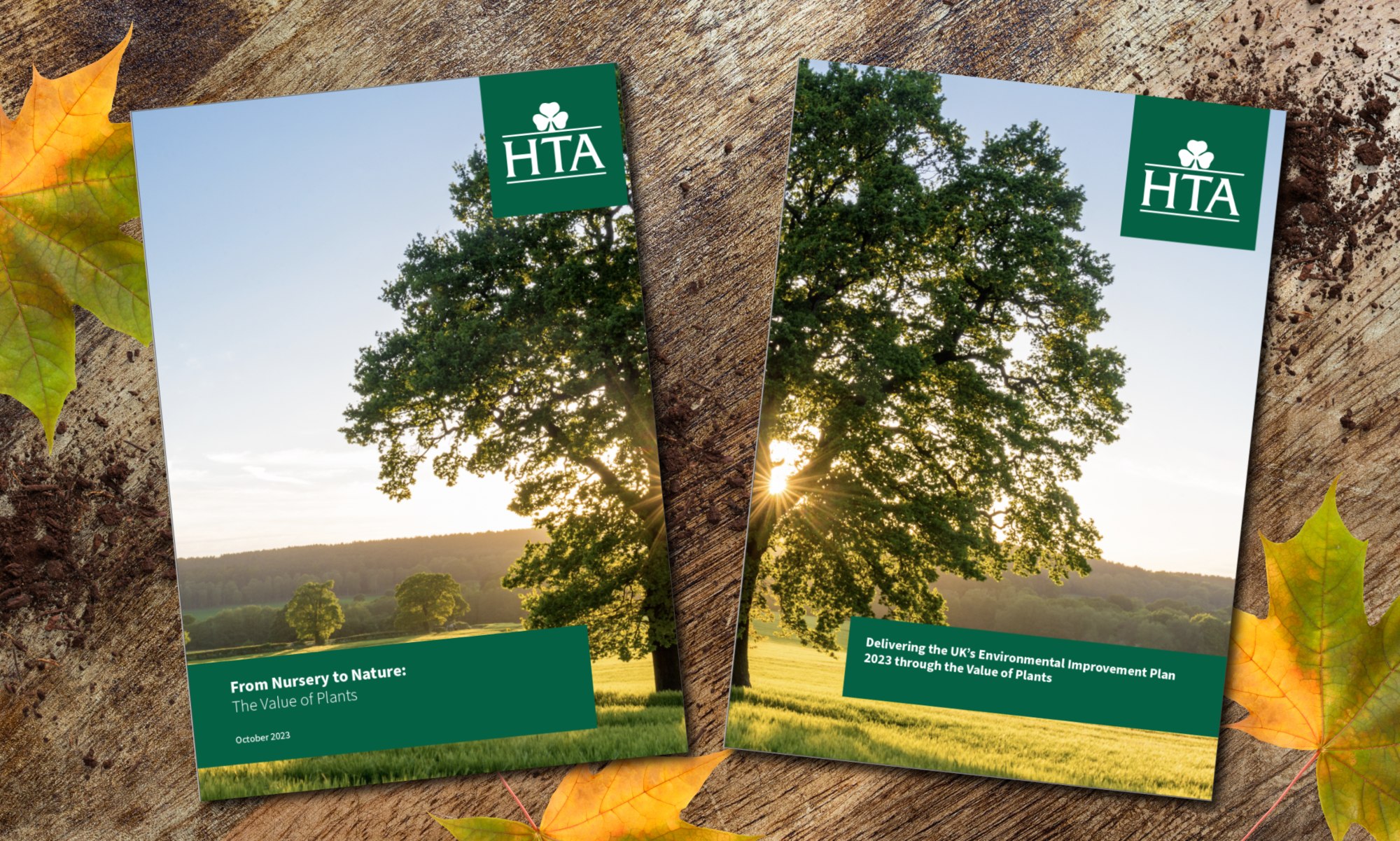 HTA report covers