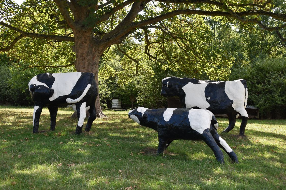Milton Keynes concrete cows