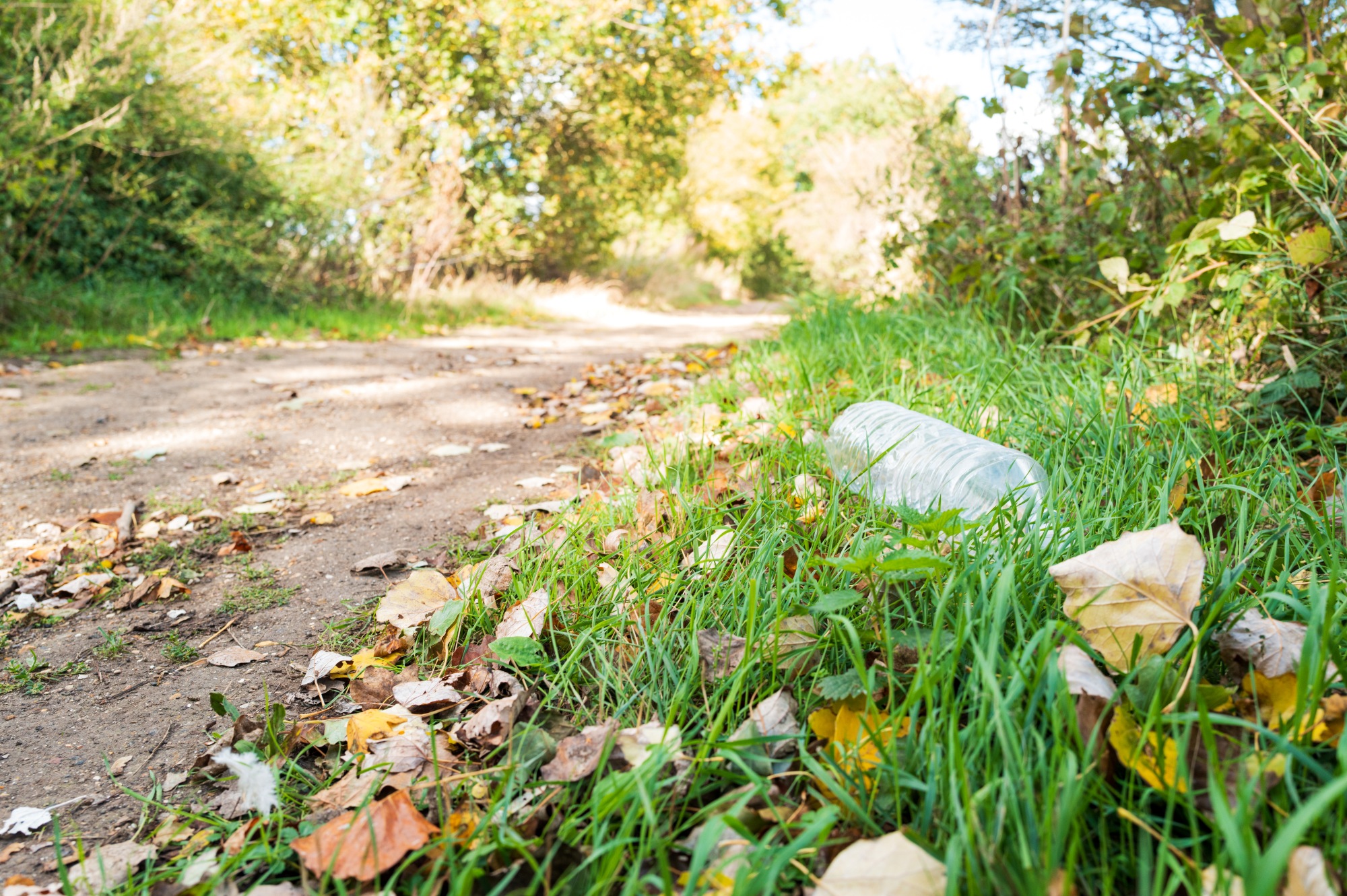 A country lane with a plastic bottle at the side
