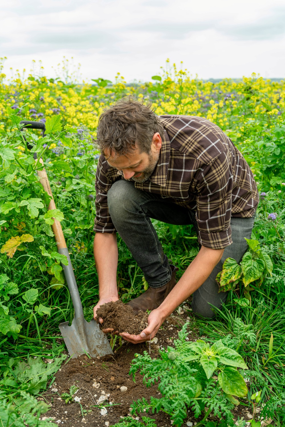 Man gardening